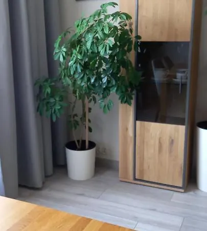 Apartament Grunwaldzka Przemysl Exterior photo