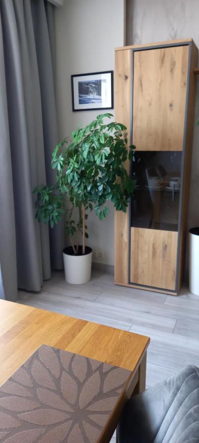 Apartment Grunwaldzka *
